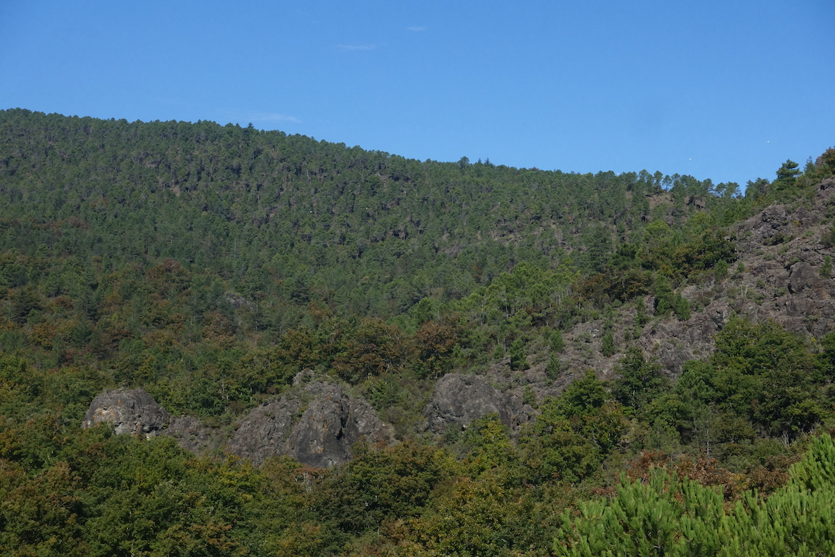 Ri-vivere il paesaggio montano